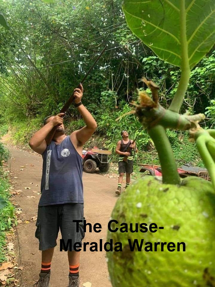 The Cause